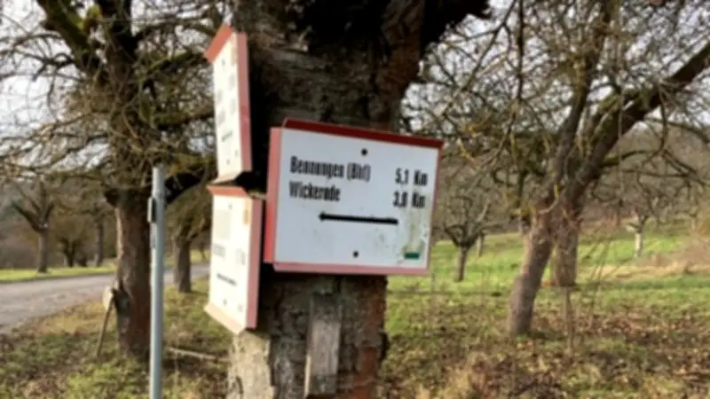 Tourismuskonzept im Südharz: Gemeinde verzichtet auf zusätzliche Investitionen