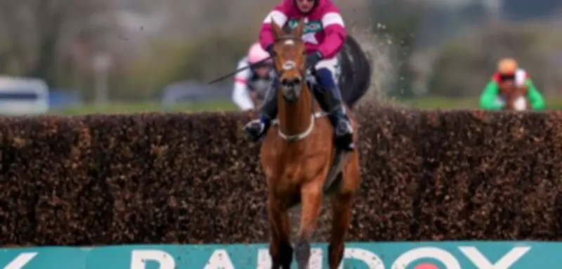 Tragödie bei Grand Nationals: Siegerpferd Gold Dancer nach schwerer Verletzung eingeschläfert