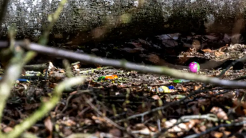 Tragödie im Wald bei Flensburg: Drei Tote beim Ostereiersuchen durch umgestürzten Baum
