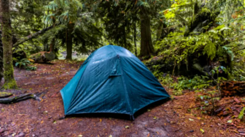 Tragödie in Dänemark: 24-jähriger Deutscher beim Zelten im Wald tot aufgefunden