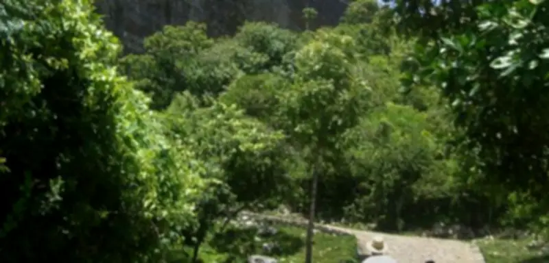 Tragödie in Haiti: Mindestens 30 Tote bei Massenpanik an Weltkulturerbe-Festung