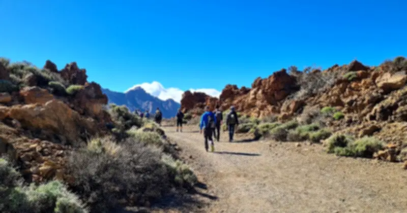 Tragisches Ende auf Teneriffa: Vermisster Backpacker aus Niedersachsen nach Jahren identifiziert