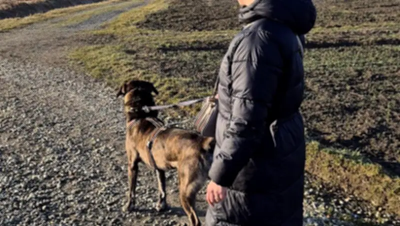 Trauerfall wird zum finanziellen Risiko: Wie eine Münchnerin nach Partnerverlust von der PKV benachteiligt wird