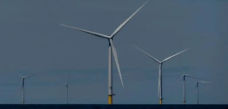 Trumps Kampf gegen erneuerbare Energien scheitert: Wind- und Solarkraft boomen in den USA