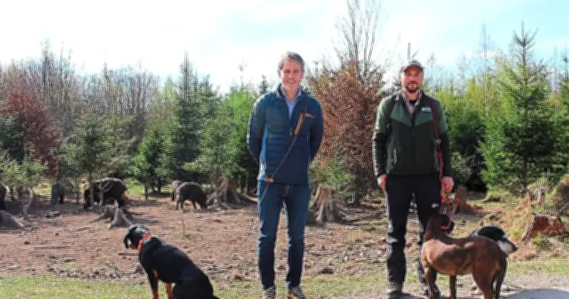 Tschernobyl-Folgen: Wildschweine in München noch immer radioaktiv belastet