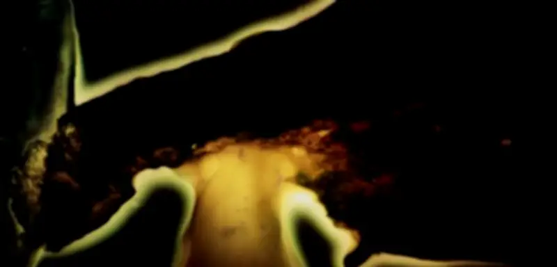 Tschernobyl-Pilz enthüllt DDR-Lüge über atomare Gefahr