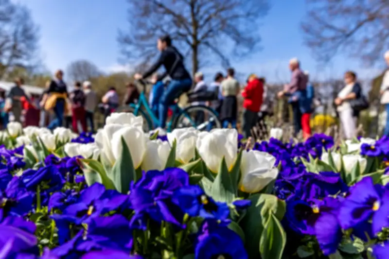 Tulpenfest in Luckau: Farbenmeer und Trachten zum Stadtjubiläum in Brandenburg
