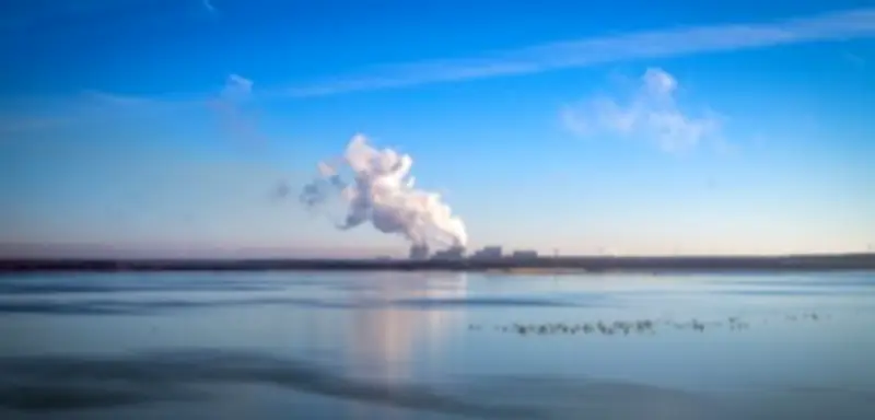 Umweltvorbild Ostdeutschland: Wo Kohls Vision der blühenden Landschaften Realität wird