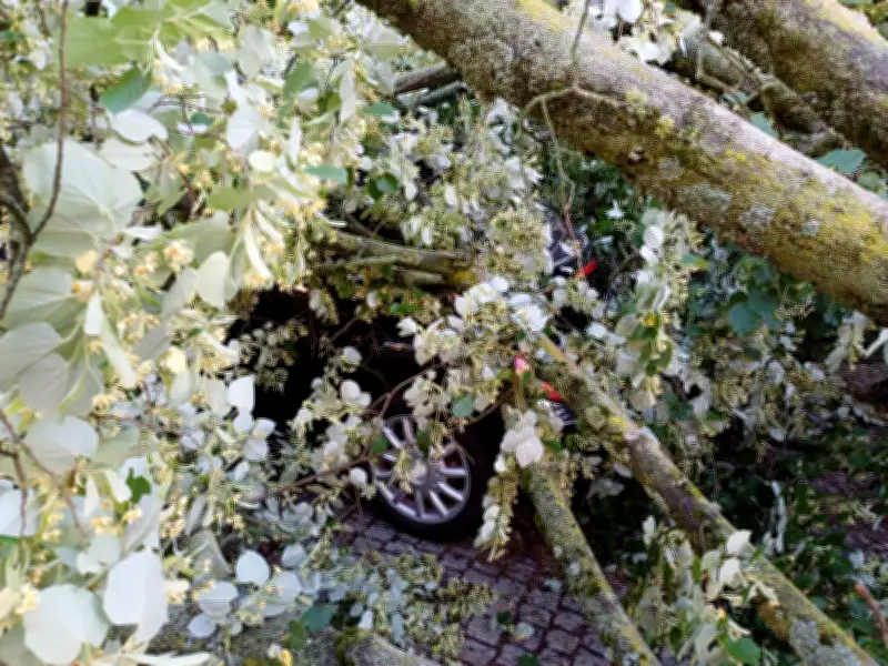 Unwetterschäden an Autos in Thüringen 2025 deutlich gesunken – Experten warnen vor Entwarnung