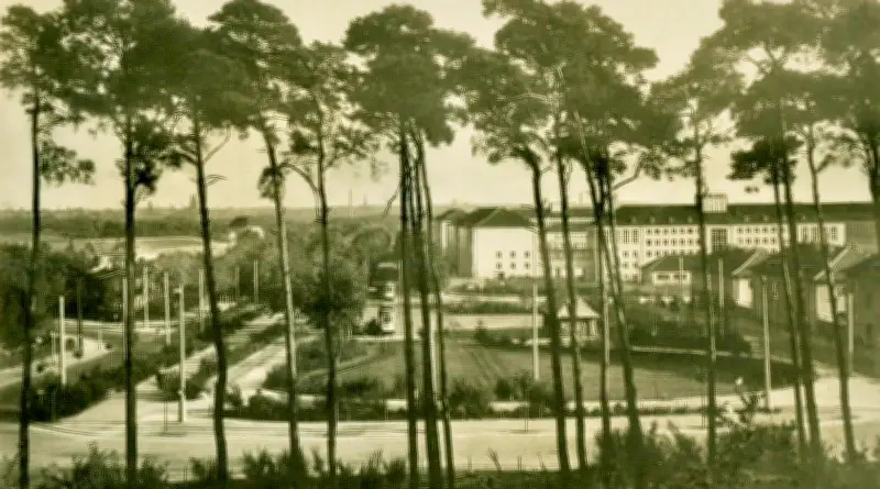 Verein in Halle beleuchtet seit 25 Jahren Stadtgeschichte: Von Mittelalter bis DDR