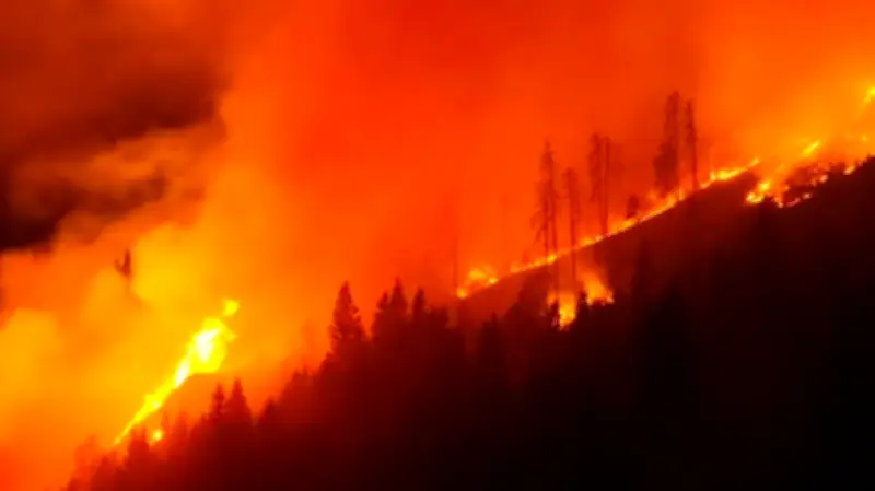 Verheerender Waldbrand in Österreich: Flammen breiten sich über die Alpen aus