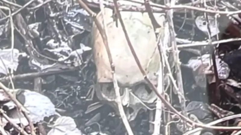 Vermisstenfall nach sieben Jahren gelöst: Knochenfund neben Spielplatz identifiziert