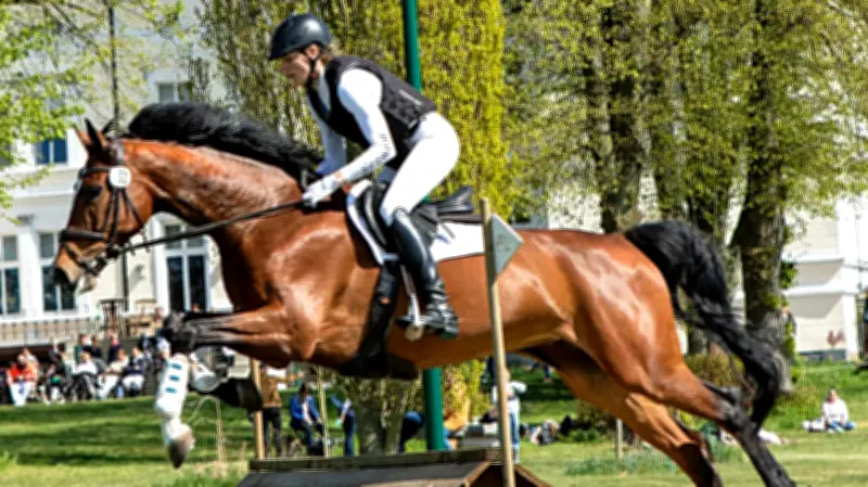 Vielseitigkeitsreiten in Vanselow: Tradition trifft auf Nachwuchstalente beim Buschreiter-Turnier