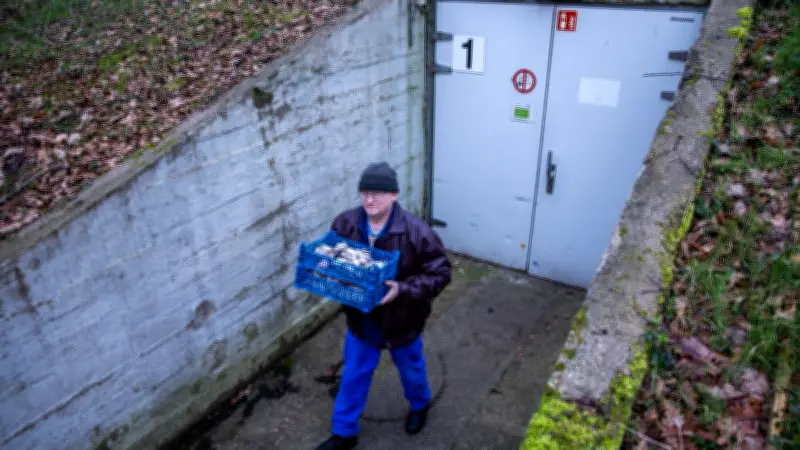 Vom DDR-Munitionsbunker zur Pilzzucht: Rostocker Heide erlebt ungewöhnliche Transformation