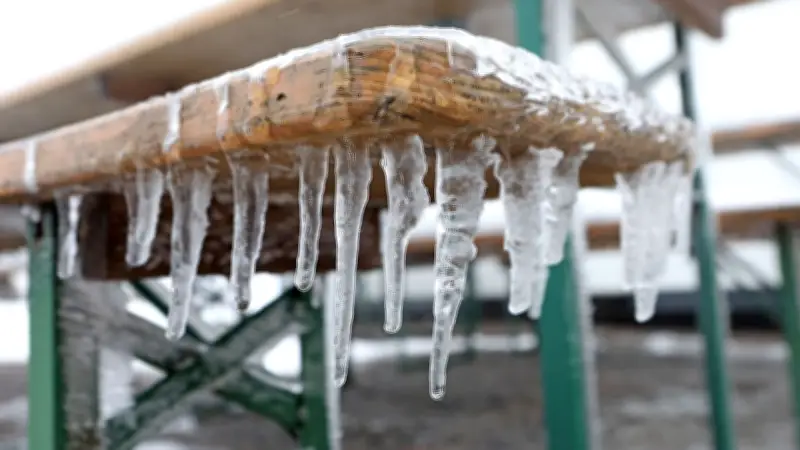 Vorverlegte Eisheilige: Früher Frost bedroht Obsternte im Norden Deutschlands