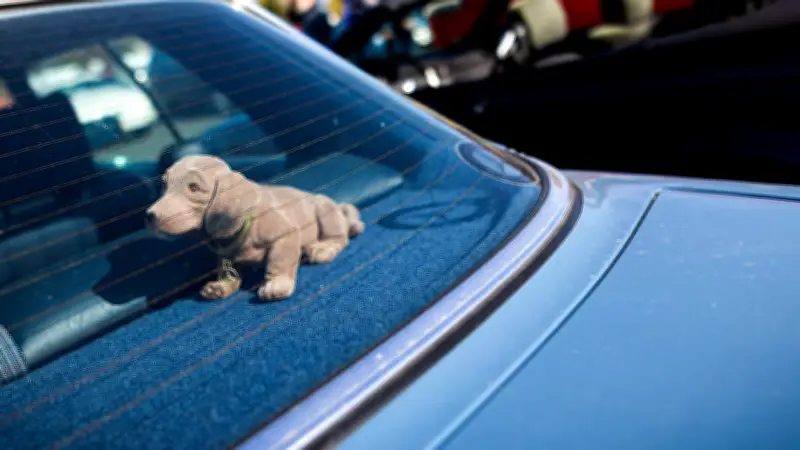 Wackeldackel im Aussterben begriffen: Studie enthüllt Wandel der Auto-Accessoires