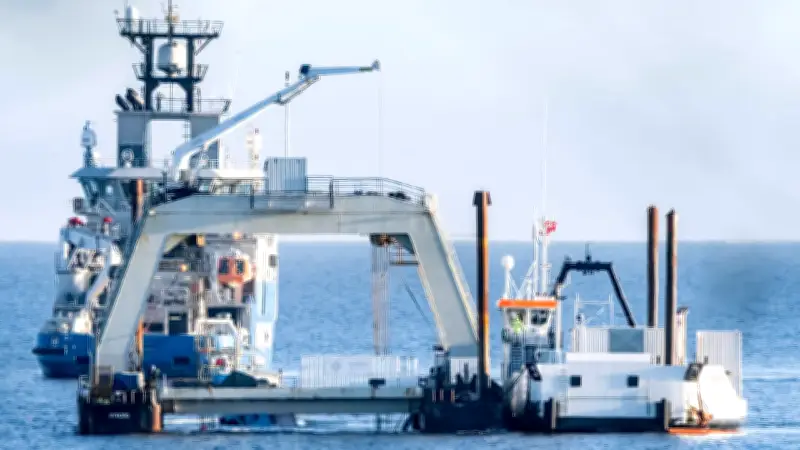 Wal-Drama in der Ostsee: Katamaran als letzte Hoffnung für gestrandeten Buckelwal Timmy