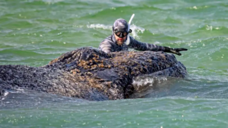 Wal-Influencer Lehmann rechnet nach gescheiterter Timmy-Rettung ab: „Das kotzt mich an“
