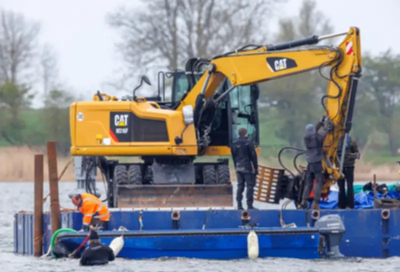 Wal-Rettung vor Poel: 110 Meter Rinne zum tieferen Wasser