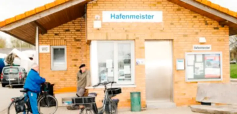 Wal-Rettungsaktion an der Ostsee: Geteilte Meinungen auf der Insel Poel