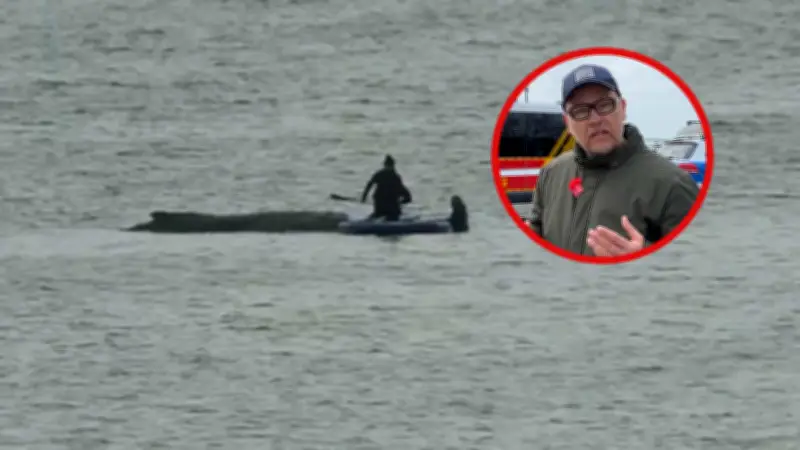 Wal Timmy in Poel: BILD-Reporter vor Ort berichtet über dramatische Rettungsaktion