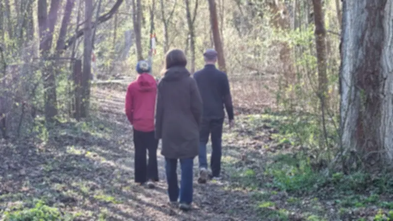 Waldbaden in Halle: Entspannung durch bewusstes Gehen statt Baumumarmungen