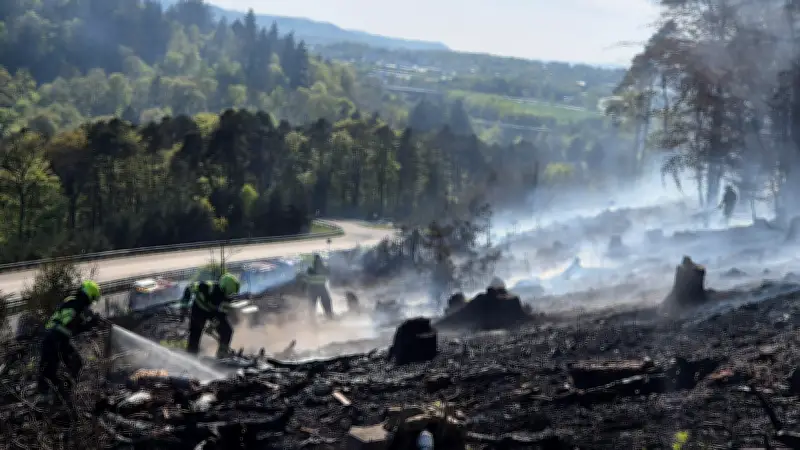 Waldbrand bei Kaiserslautern: A63 komplett gesperrt