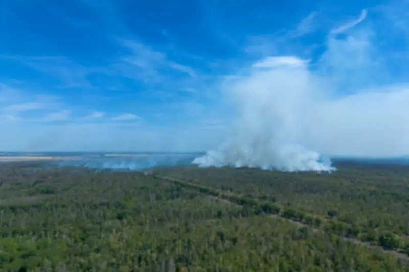 Waldbrand in Gohrischheide: Hitze entzündete Altmunition - Ermittlungen abgeschlossen