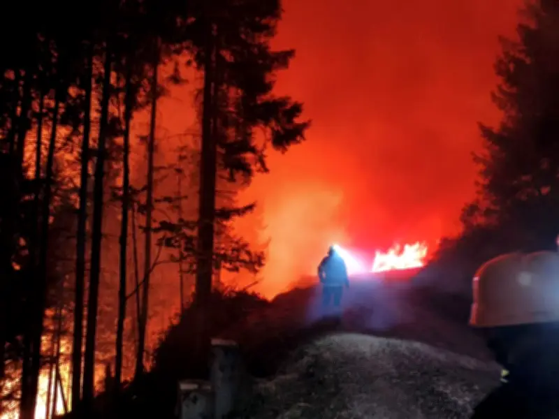 Waldbrand in Kärnten: 110 Hektar in Flammen