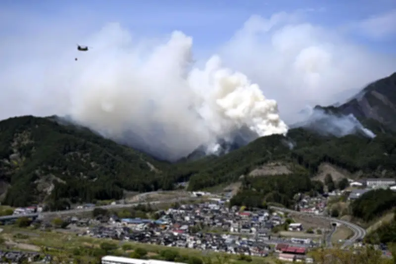 Waldbrand wütet in Nordosten Japans: Tausende evakuiert
