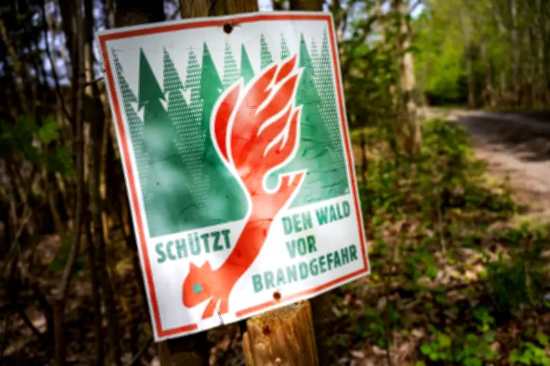 Waldbrandrisiko in MV vor Ostern: Aktuell gering, aber Ostermontag könnte kritisch werden
