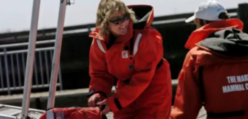 Walforscherin Frances Gulland: Wie man Buckelwale aus der Ostsee befreien kann