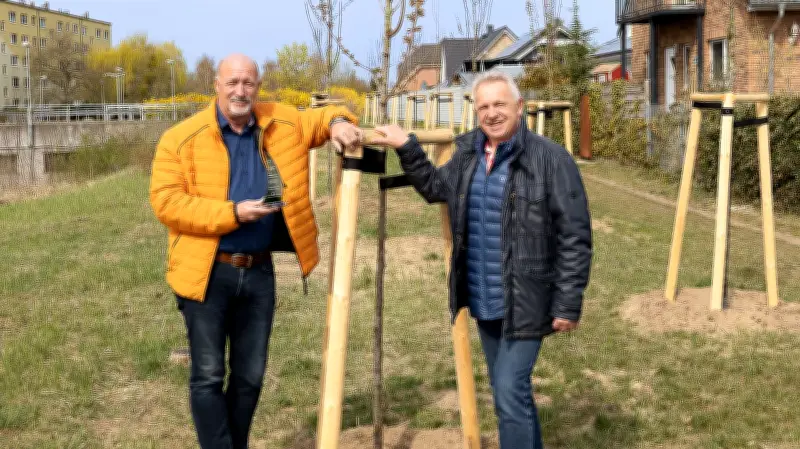 Walking-Challenge-Sieg: Ueckermünde pflanzt Blutpflaumen und Kirschen als Belohnung