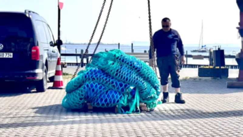 Walrettung erreicht neue Phase: Spezialnetz für Timmys sicheren Transport