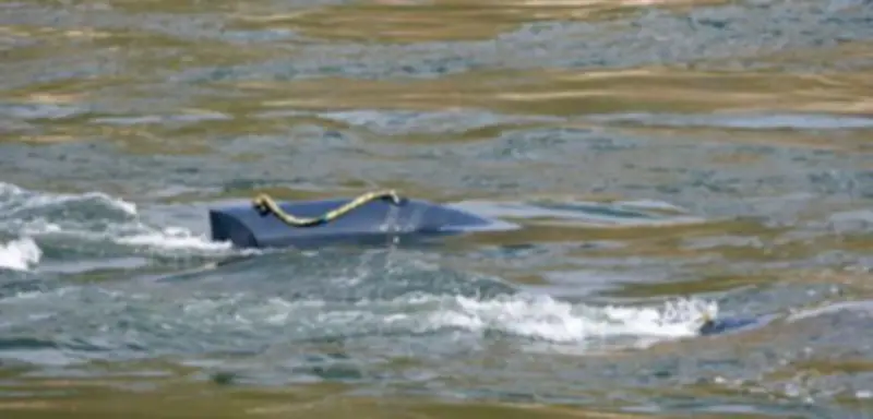 Wasserkraft-Verband fordert Ausbau: Genehmigungsverfahren bremsen Potenzial