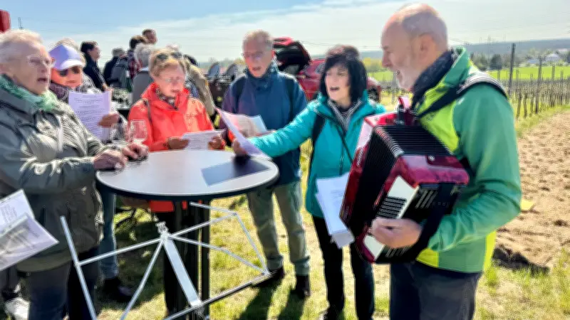 Weinwandertag in Jessen: Premiere übertrifft alle Erwartungen