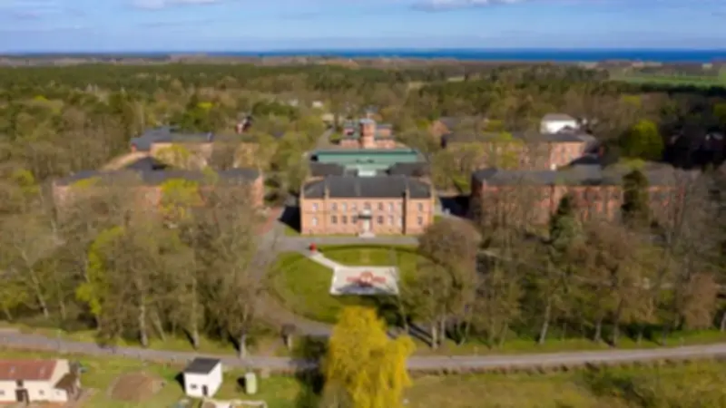 Welt-Parkinson-Tag: Früherkennung und individuelle Therapie für mehr Lebensqualität