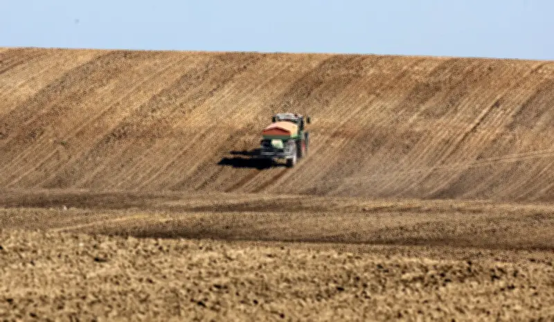 Weltbank: Höhere Düngerpreise gefährden Millionen Lebensmittel