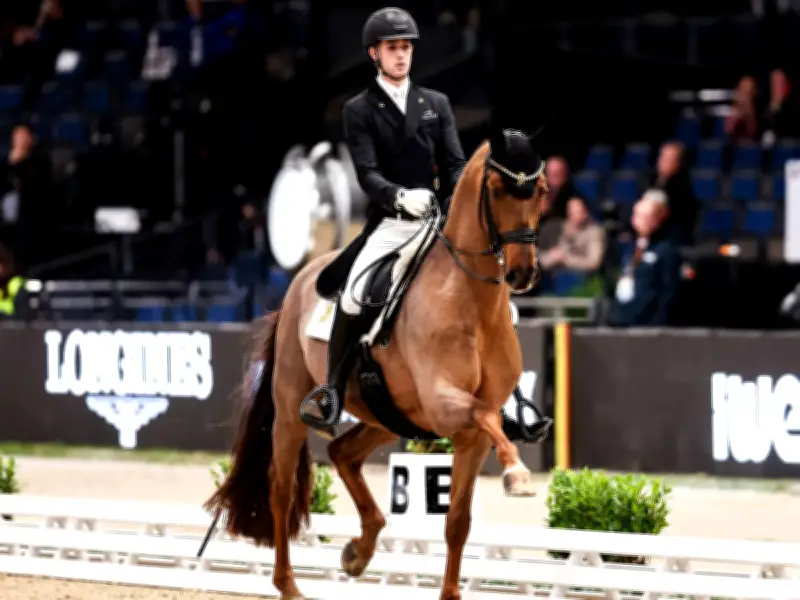 Weltcupfinale in Texas: Dressur-Nachwuchs erhält Chance ohne Fry und Werth