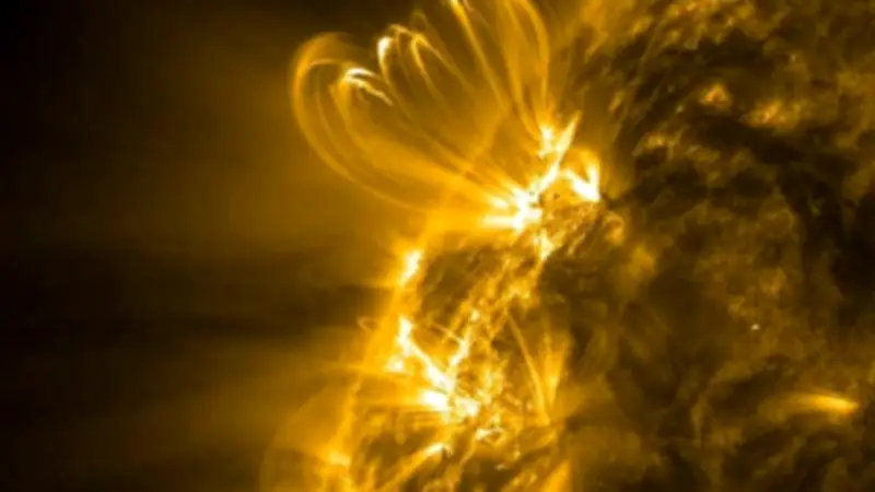 Weltraumwetter beeinflusst Bienenverhalten: Vortrag in Neustrelitz klärt auf