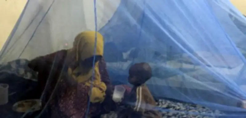 WHO lässt erstes Malaria-Medikament für Babys zu