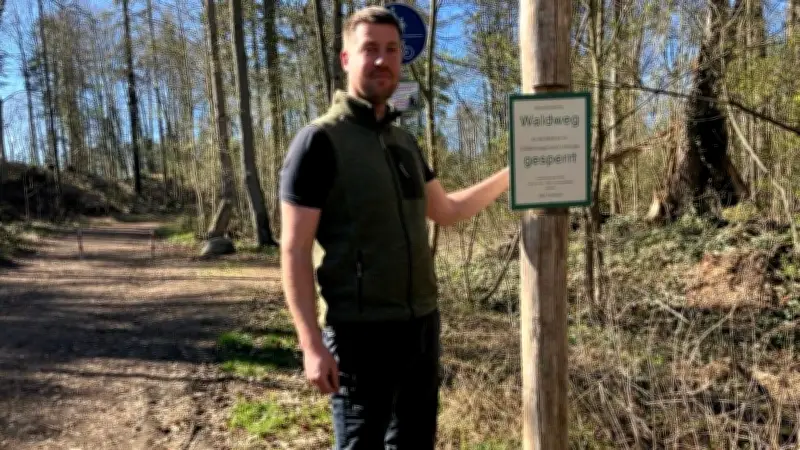 Wild-West-Manier in Teterows Wäldern: Autos, Müll und Holzdiebstahl sorgen für Unruhe