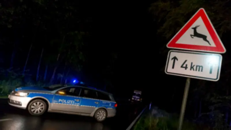 Wildunfall führt zu Ermittlungen: Gaterslebener Fahrer ohne Führerschein erwischt