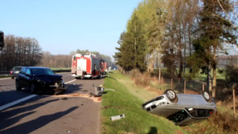 Wildwechsel auf A24 löst gefährliche Kettenreaktion mit Überschlag aus