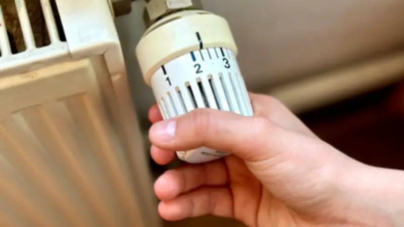 Wärmewende an der Müritz: Finanzielle Hürden und regionale Strategien im Fokus