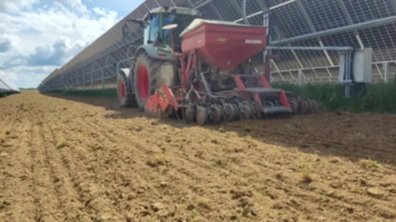 Zarrentin setzt auf Agri-PV: Stadt erlaubt nur noch Doppelnutzung von Flächen