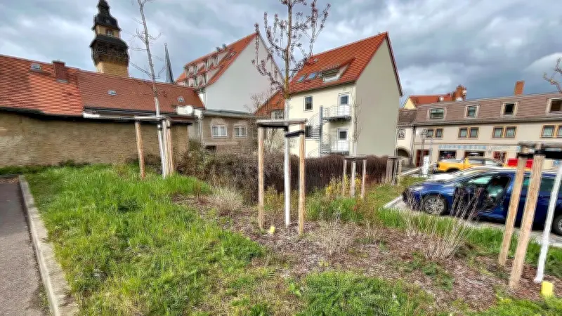 Zeitzer Parkplatz: Mehr Grün, aber mangelnde Pflege sorgt für Verwirrung