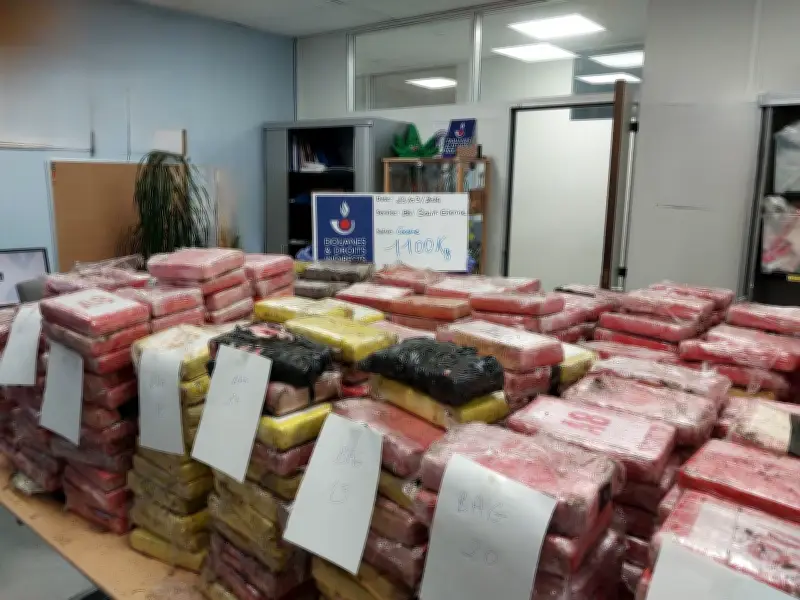 Zoll entdeckt 1,1 Tonnen Kokain in Blumenerde-Laster - Wert 75,5 Millionen Euro