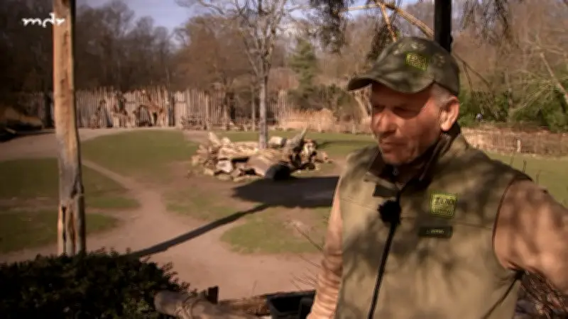 Zoo Leipzig verliert Kult-Tierpfleger: Jens Hirmer verlässt nach 20 Jahren Afrika-Abteilung