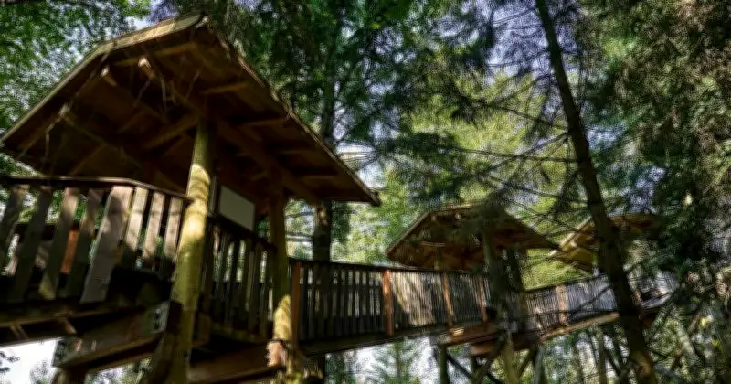 Zwei Nächte im Baumhotel Wald-Loft gewinnen